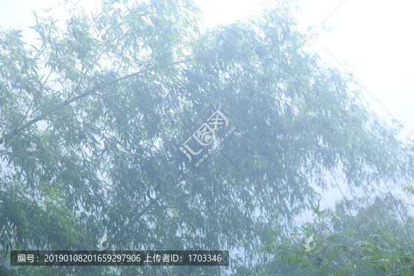 云霧廬山