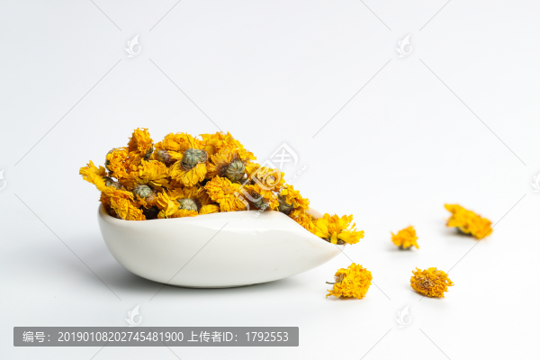 野生菊花茶