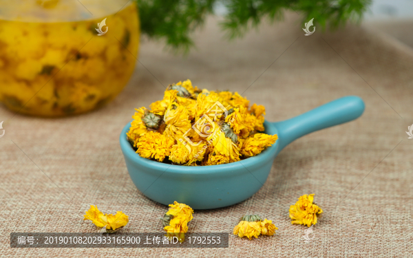 黃貢菊
