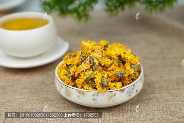 黃貢菊花茶