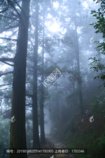 云霧廬山