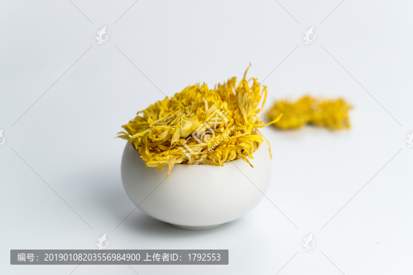 金絲皇菊