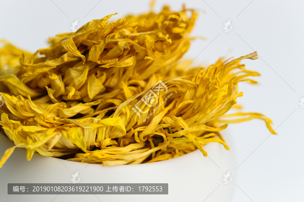金絲皇菊