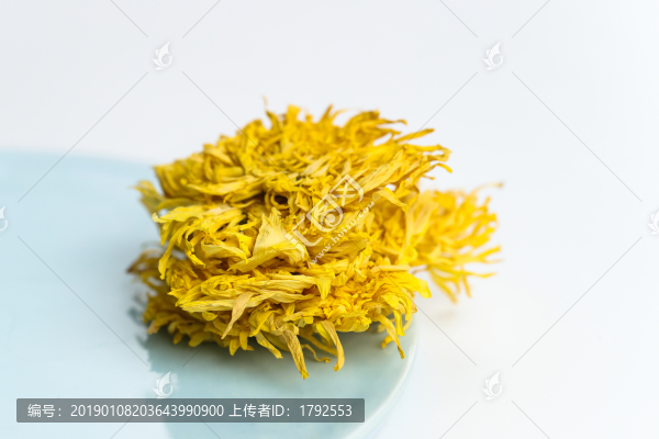 金絲皇菊