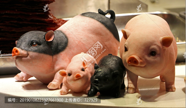 小豬