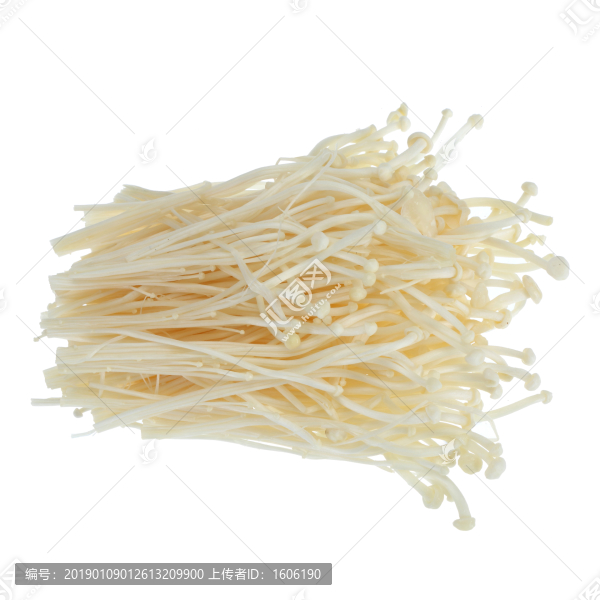 金針菇