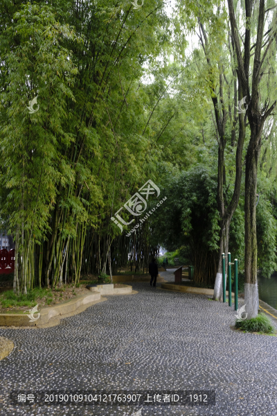 竹林小路