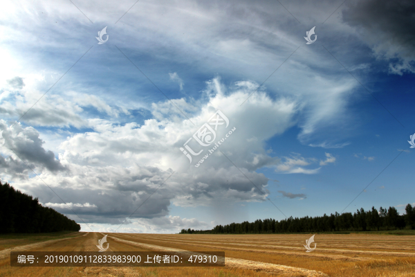 麥田收獲