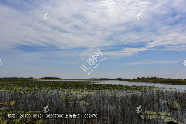 龍感湖美景
