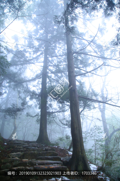 云霧廬山