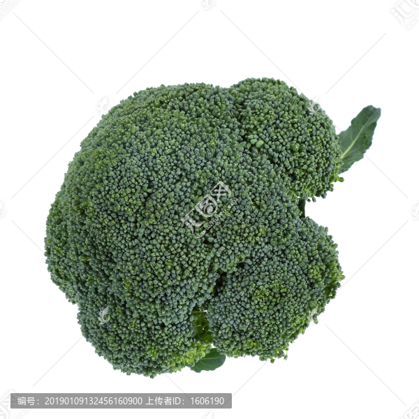 西蘭花