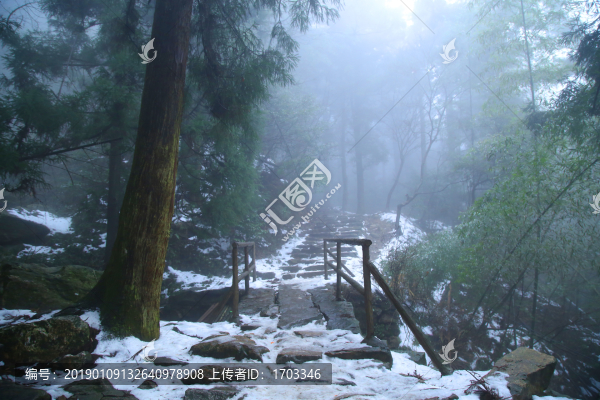 云霧廬山森林