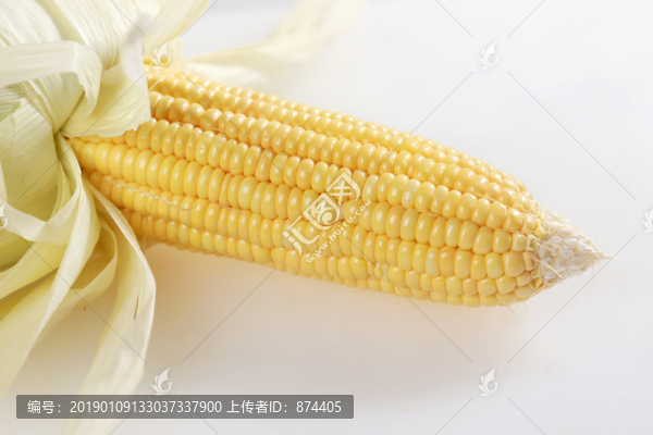 玉米-匯圖網(wǎng) www.fosd68.com 玉米