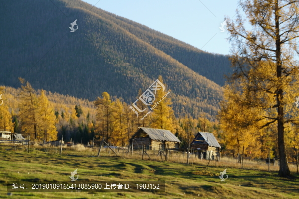 西北第一村白哈巴