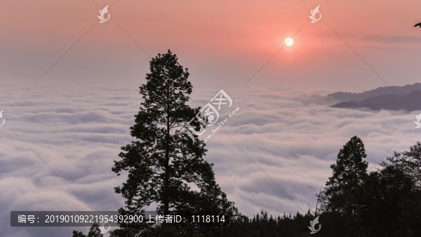 云海