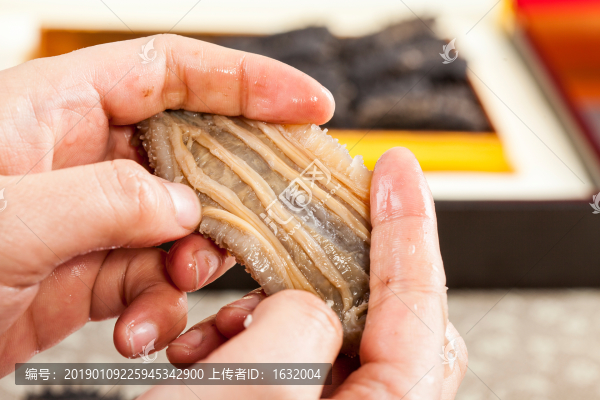 威海石島野生海參