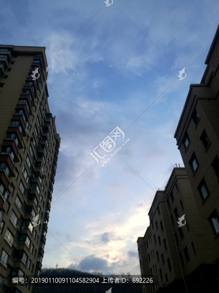 樓
