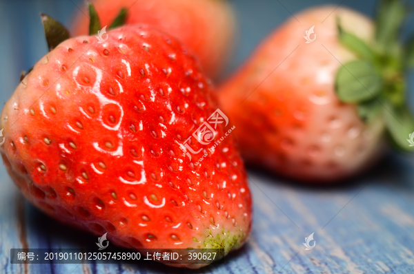 草莓