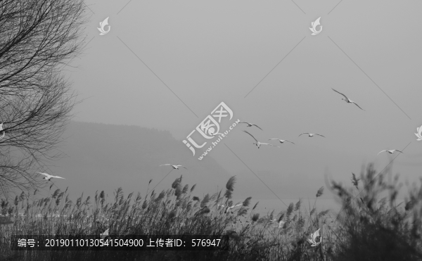 裝飾畫