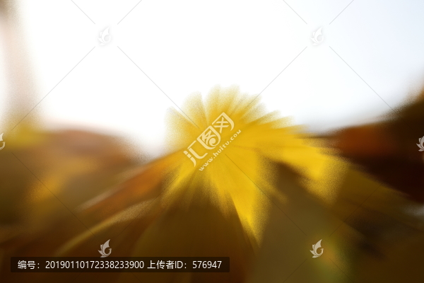 爆炸樹葉