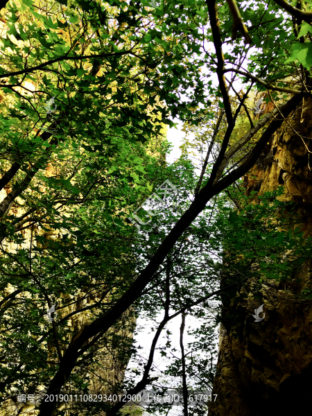 梨木臺風(fēng)景