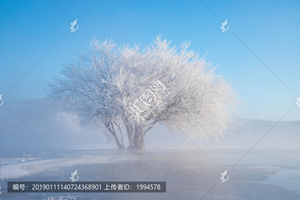 霧凇