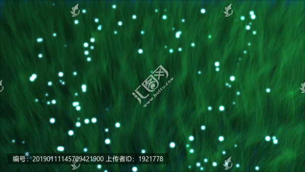綠毛背景