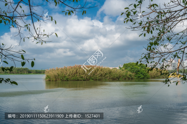 萬泉河