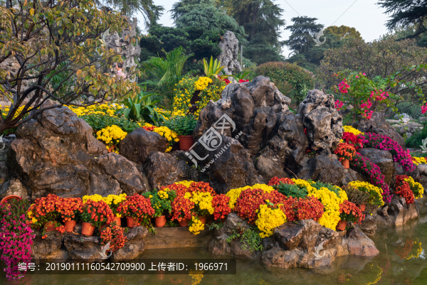 公園里的假山