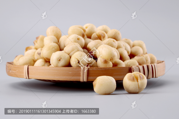蓮子