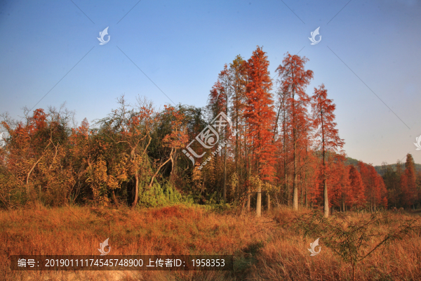 中山市五桂山大寮