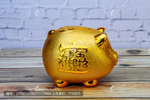 金豬儲錢罐