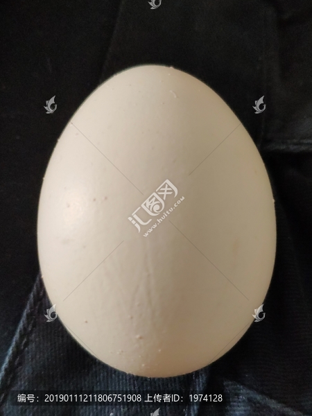 雞蛋