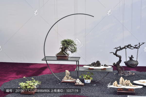 盆景盆栽