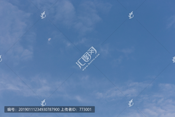 白天月亮