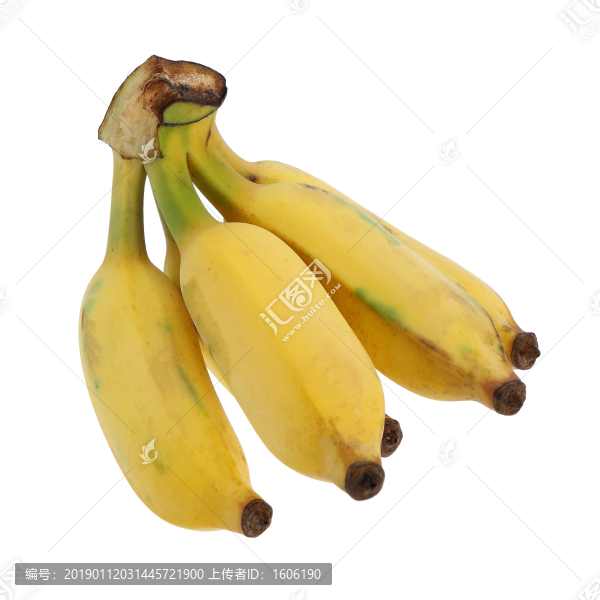 米蕉香蕉粉蕉