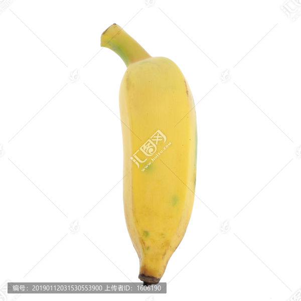 米蕉香蕉粉蕉