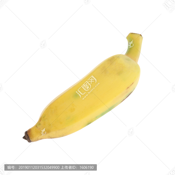 米蕉香蕉粉蕉