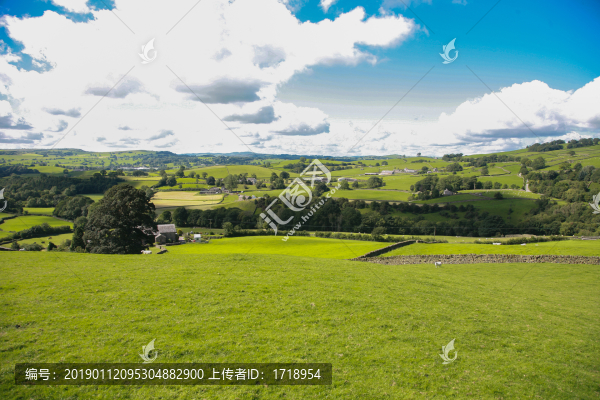 英國(guó)英格蘭草原草場(chǎng)自然風(fēng)光0