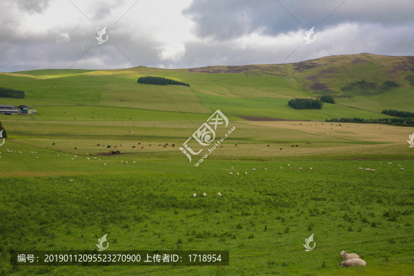 英國英格蘭草原草場自然風(fēng)光41