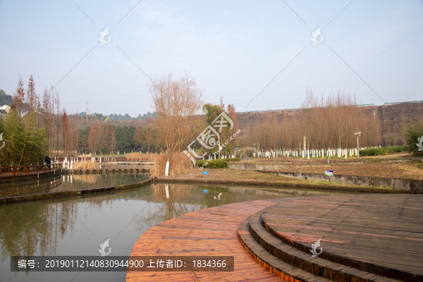 公園湖畔