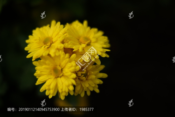 小花