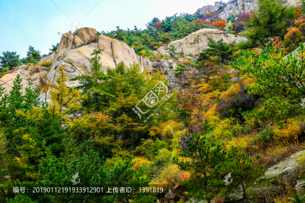 嶗山秋色
