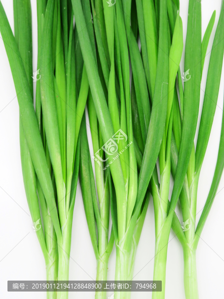 韭菜