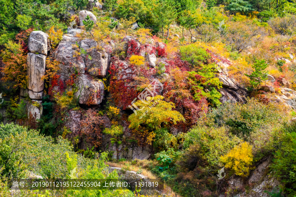 嶗山秋色