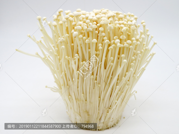 金針菇