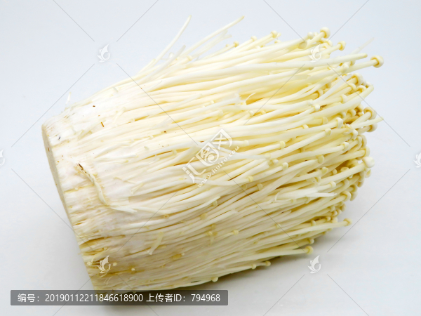 金針菇