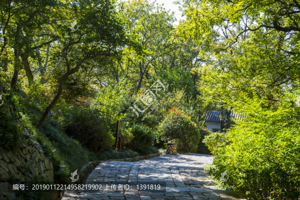 青島嶗山風(fēng)景區(qū)