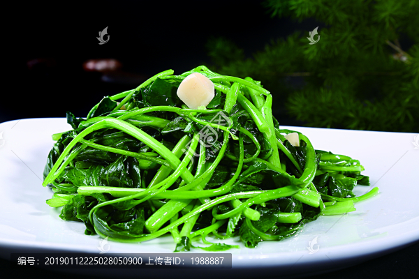 蒜燒芥蘭苗