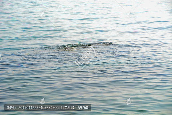 海水海浪